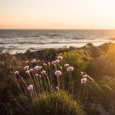  Portugal - YOAS Yoga Retreats 