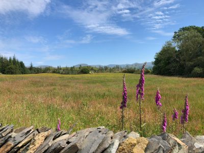 Lake District - YOAS Yoga Retreats