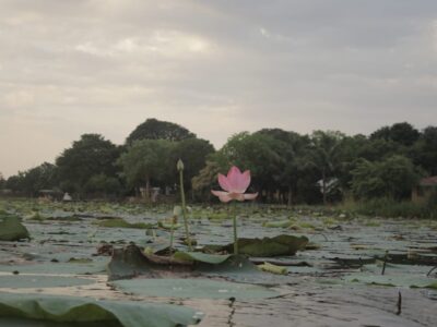 Rajasthan - YOAS Yoga Retreats