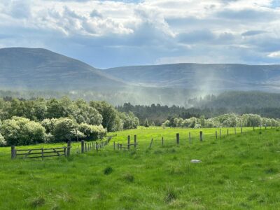 Cairngorms - YOAS Yoga Retreats