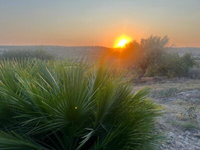 Sicily - YOAS Yoga Retreats