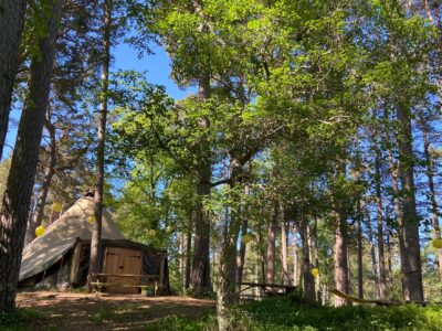 Cairngorms - YOAS Yoga Retreats