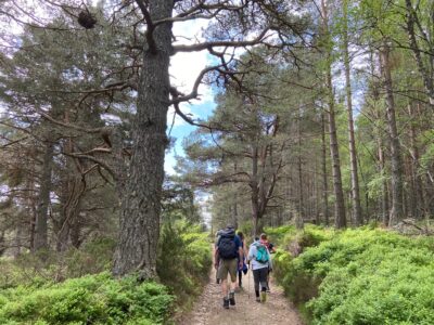 Cairngorms - YOAS Yoga Retreats