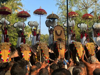 Kerala - YOAS Yoga Retreats