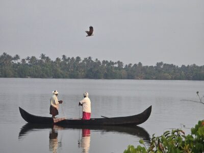 Kerala - YOAS Yoga Retreats