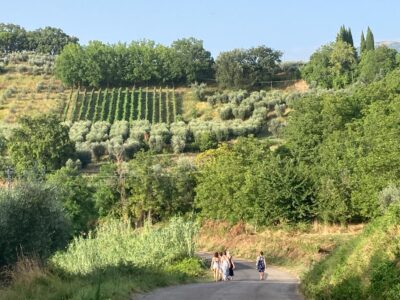 Olea Italy - YOAS Yoga Retreats
