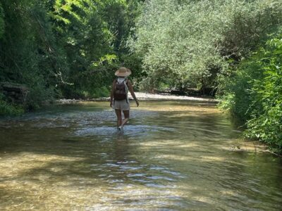 Olea Italy - YOAS Yoga Retreats