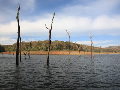 Periyar Lake Kerala - YOAS Yoga Retreats