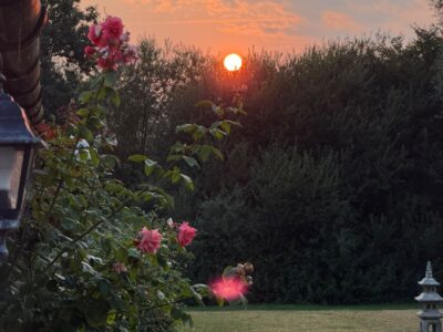 Dorset - YOAS Yoga Retreats